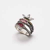 Cassia ring