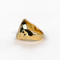 Equinoctium ring